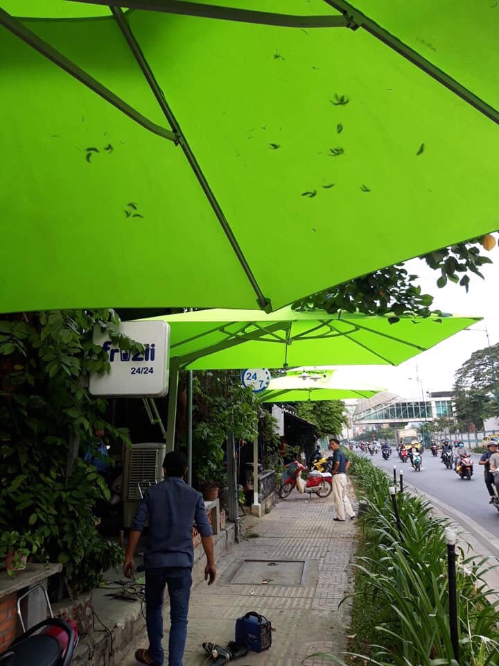 Mua bán dù che nắng mưa quán cafe ngoài trời tại Vũng Tàu
