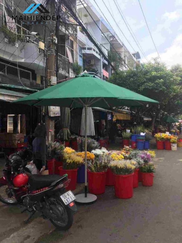 Dù che nắng chính tâm phổ biến và gần gũi